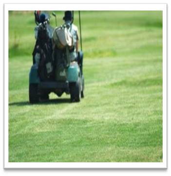 Golf Carts and Homeowners Insurance